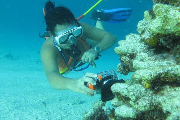 Punta Cana Catamaran Party: Snorkeling, Hookah Diving & Parasailing Half-Day photo 6