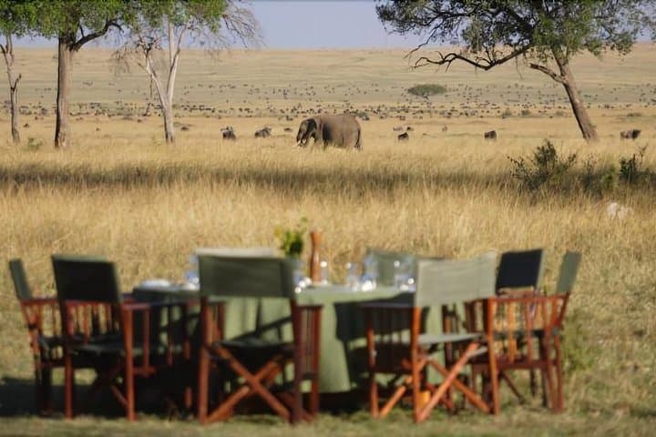 6-Day Serengeti Migration Safari — Private 4x4 Big Five Experience photo 4
