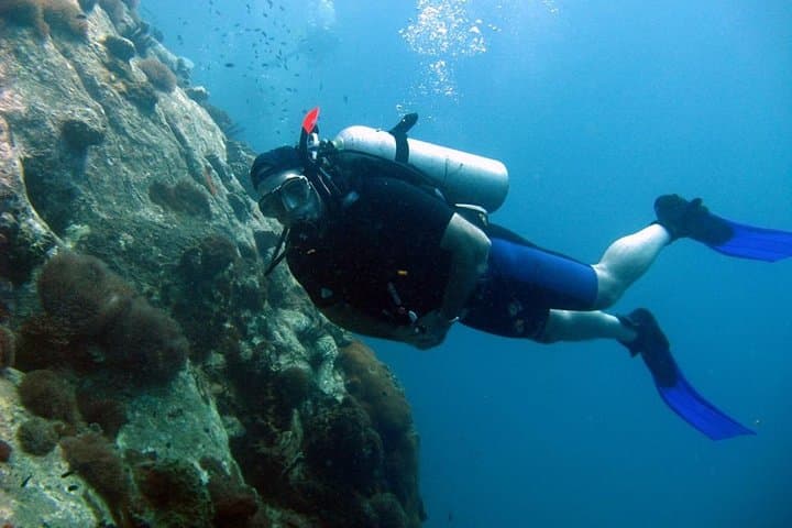Pattaya PADI Try Dives: Two Introductory Scuba Dives with Instructor photo 5