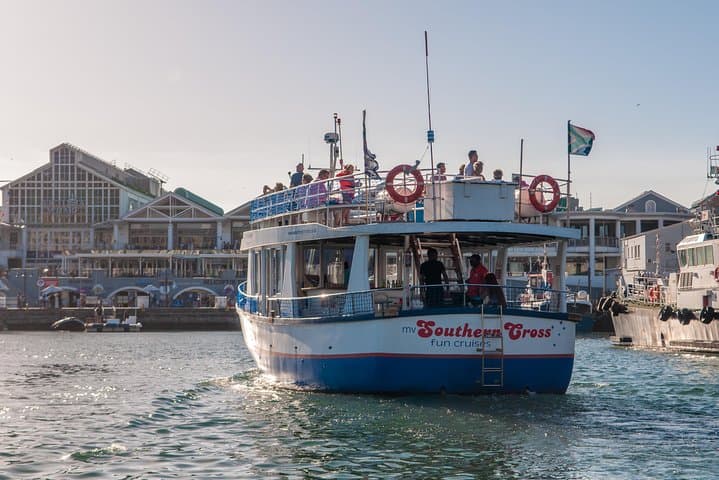 Half-Hour Seal & Harbour Cruise — V&A Waterfront, Cape Town photo 5