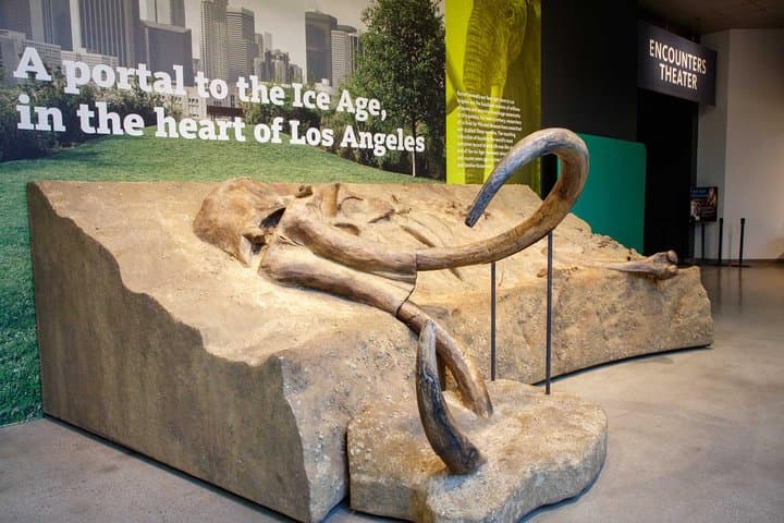 La Brea Tar Pits & Excavator Tour — Explore L.A.'s Ice Age Fossils photo 4
