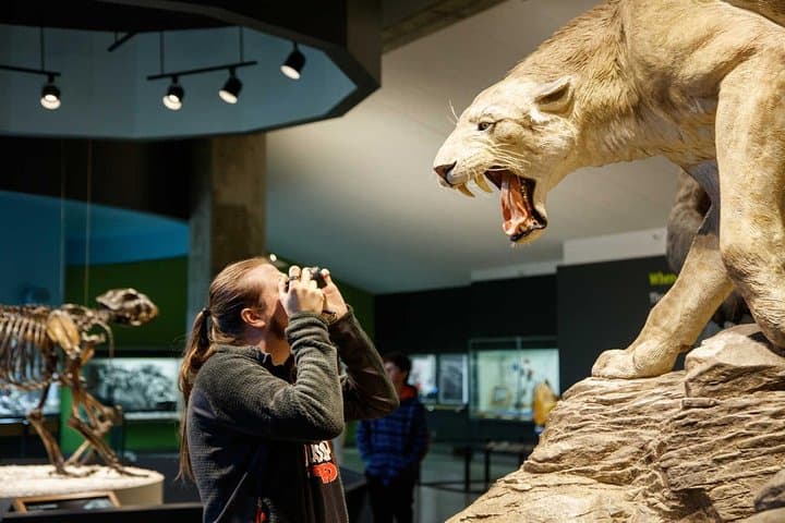 La Brea Tar Pits & Excavator Tour — Explore L.A.'s Ice Age Fossils