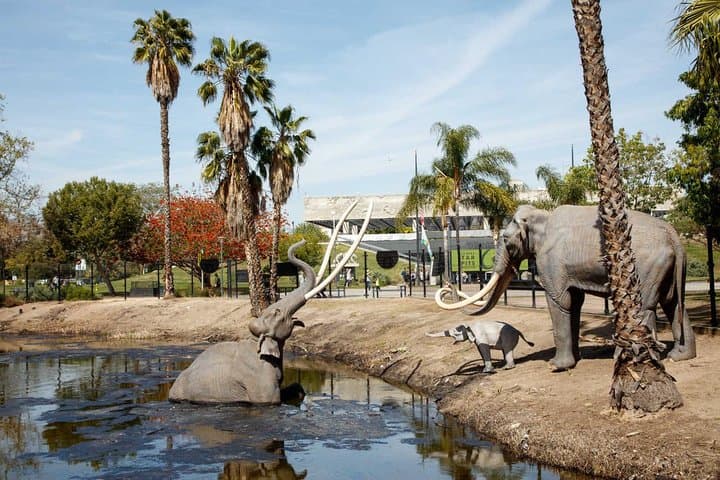 La Brea Tar Pits & Excavator Tour — Explore L.A.'s Ice Age Fossils photo 2