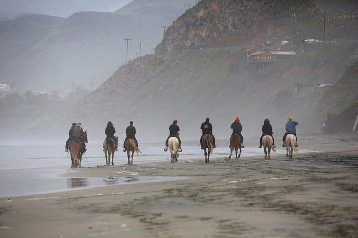 Beach and Estuary Horseback Ride at La Mision, Baja photo 5
