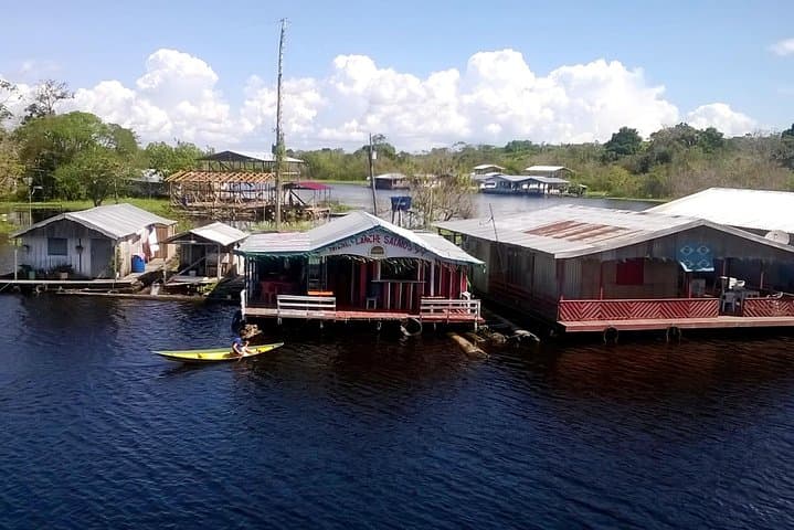 Full-Day Amazon River Experience with Night Boat Tour from Manaus photo 4