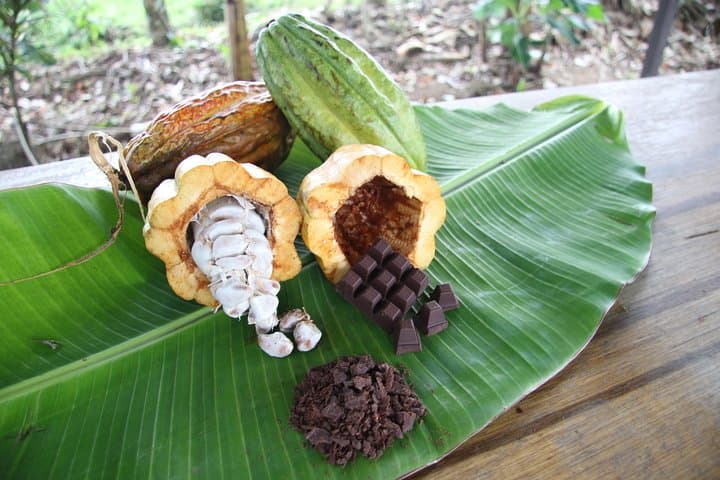 Hands-On Organic Chocolate Tour with Arenal Views