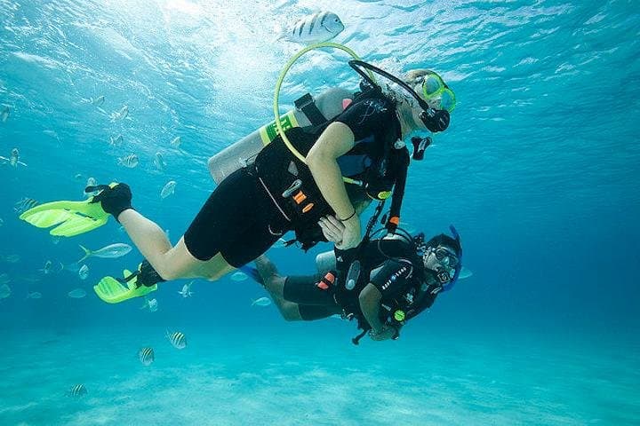 Discover Scuba Diving in Tenerife: Two Ocean Dives with Transfers