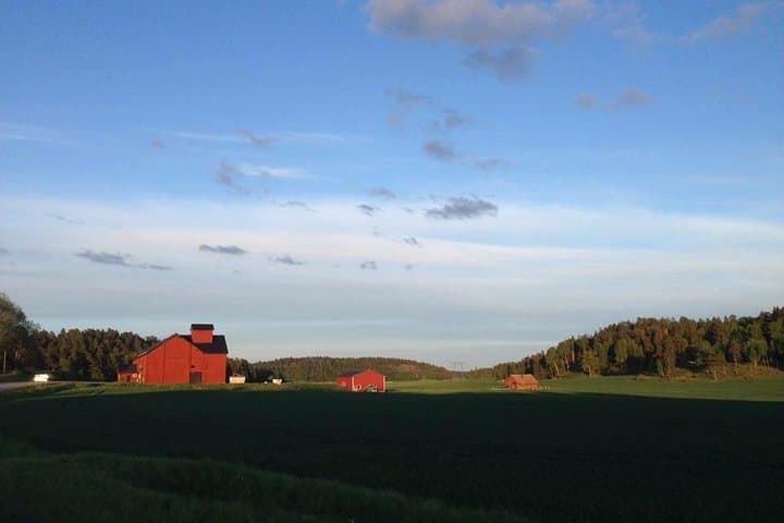 Evening Wildlife Safari from Stockholm: Moose, Rune Stones & Midsummer Meal photo 2