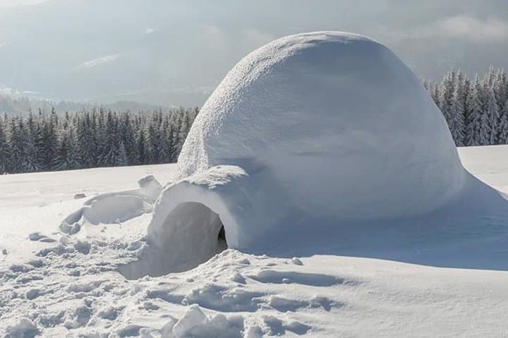 Overnight Snow Igloo and Northern Lights Experience Near Rovaniemi