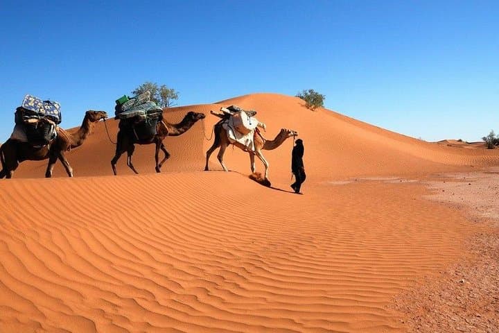 Méhari Trip from M'Hamid: Camel Trek to Erg Ezzahar Bivouac photo 6