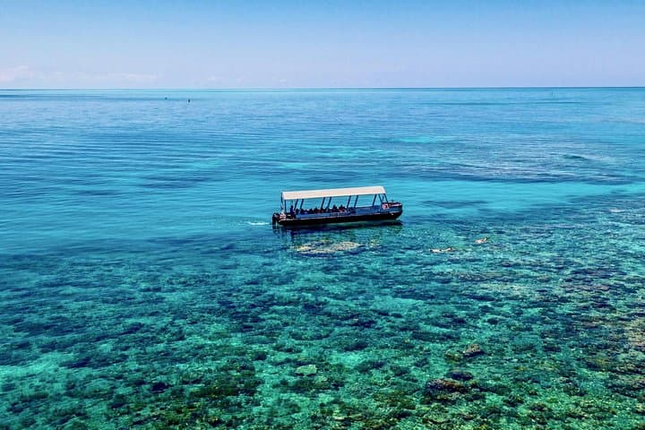 Cairns Luxury Snorkel & Dive Cruise to Upolu Reef and Upolu Cay photo 6