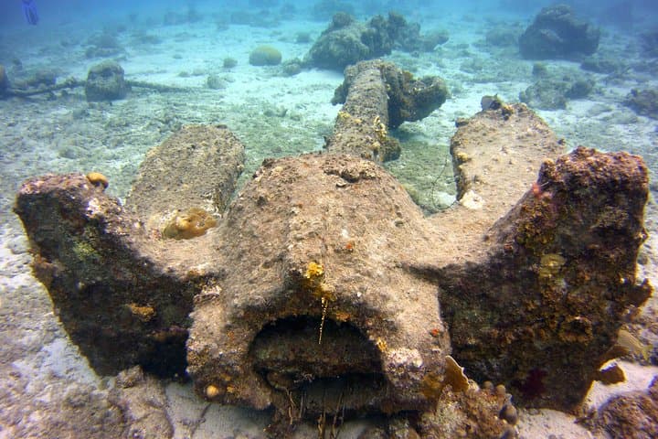 Discover Scuba Diving in Curacao — Beginner Guided Dives from Willemstad photo 6