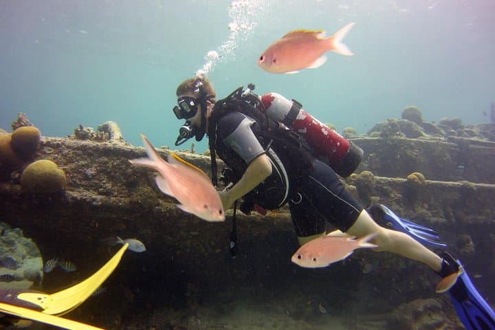 Discover Scuba Diving in Curacao — Beginner Guided Dives from Willemstad photo 3