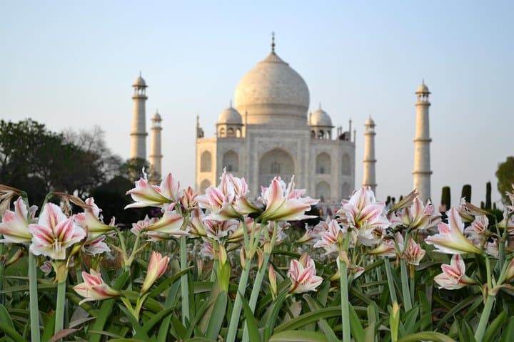 Same-Day Taj Mahal & Agra Tour from Kochi — Return Flights Included photo 3