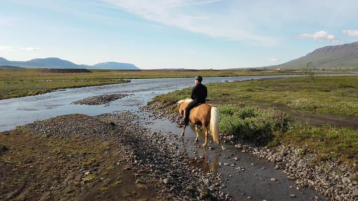Skagafjordur Private 3-Hour Icelandic Horseback Riding Tour photo 3