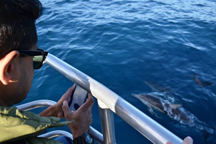 Perth Whale Watching: Educational Humpback Cruises from Fremantle photo 6
