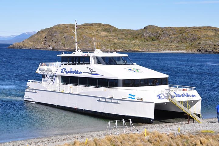 Beagle Channel Catamaran: Penguins, Les Eclaireurs Lighthouse & Isla Martillo photo 6