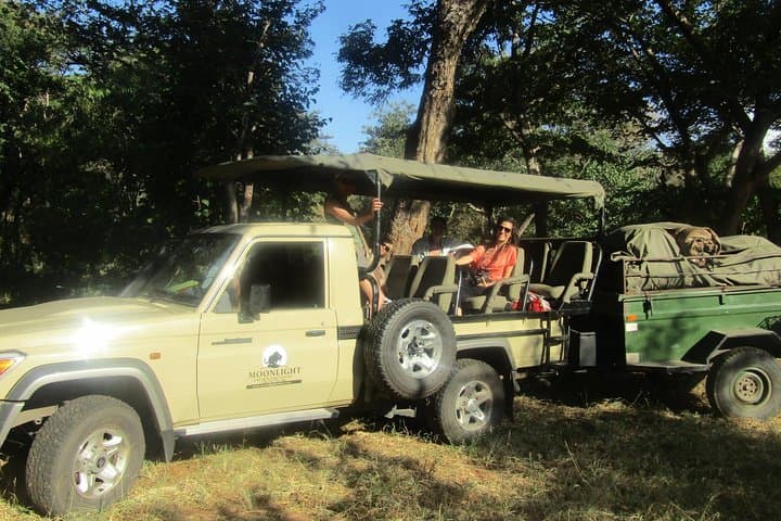 Chobe Overnight Camping Safari: 48-Hour Tented Dome Experience with Big Game photo 4