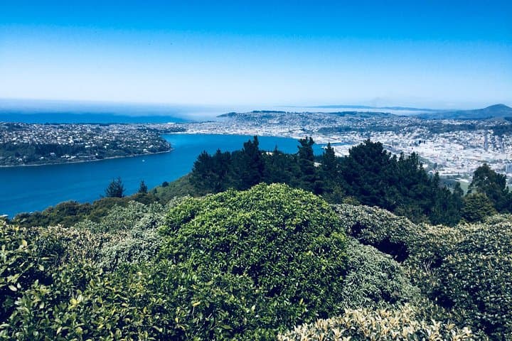 Dunedin City Highlights: 2-Hour Small-Group Tour of Historic Sights photo 2