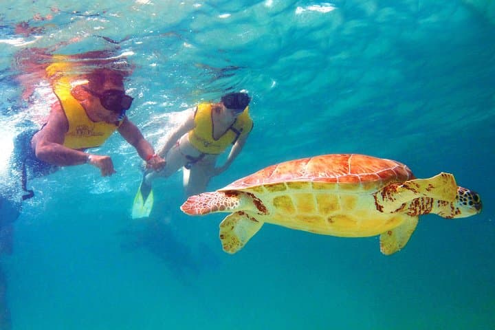 Riviera Maya Ultimate Adventure: ATVs, Cenote Snorkel & Zipline Circuit photo 3