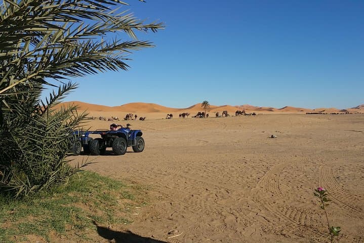 Quad Biking Erg Chebbi: High-Speed ATV Tours in Merzouga Desert photo 5
