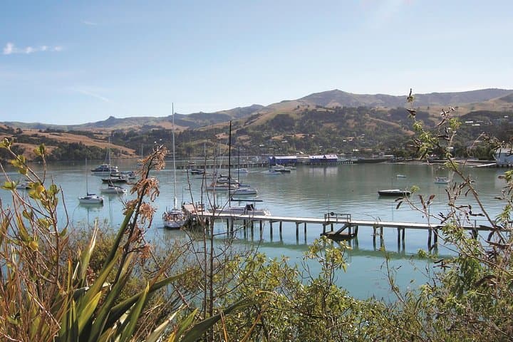 From Akaroa Wharf to Working Sheep Farm: Banks Peninsula Shore Excursion