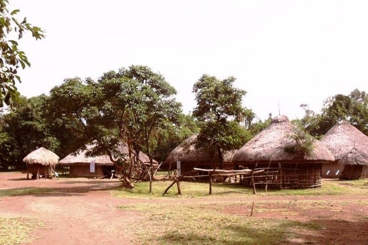 Kisumu Day Tour: Ndere Island, Impala Sanctuary & Cultural Stops on Lake Victoria photo 6
