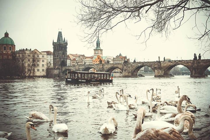 Magical Prague Private Half-Day Tour: Old Town, Charles Bridge & Castle in 3.5 Hours photo 2