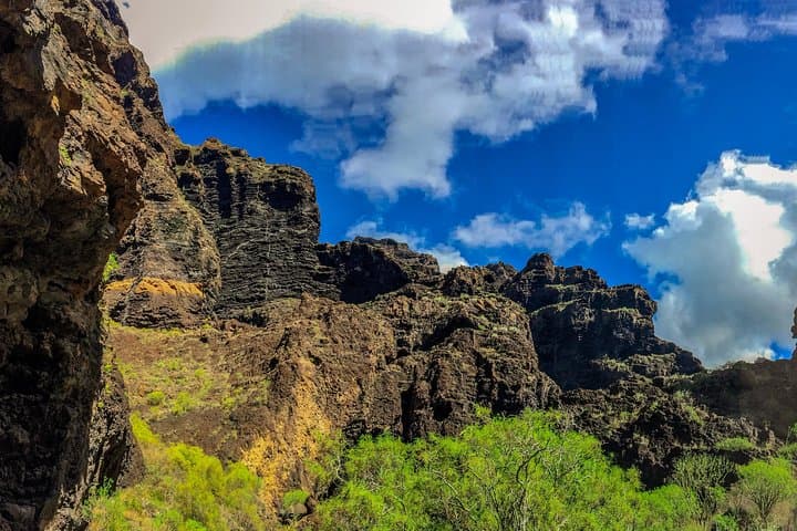 Mount Teide & Teno Country Park Private Tour: Volcano Views, Pine Forests and Teno Massif photo 3