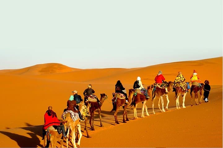 Sunset Safari and Camel Dinner in Jaisalmer's Thar Desert photo 3