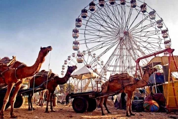 Pushkar Fair Festival: Rajasthan Camel Fair Guide and Cultural Highlights photo 4