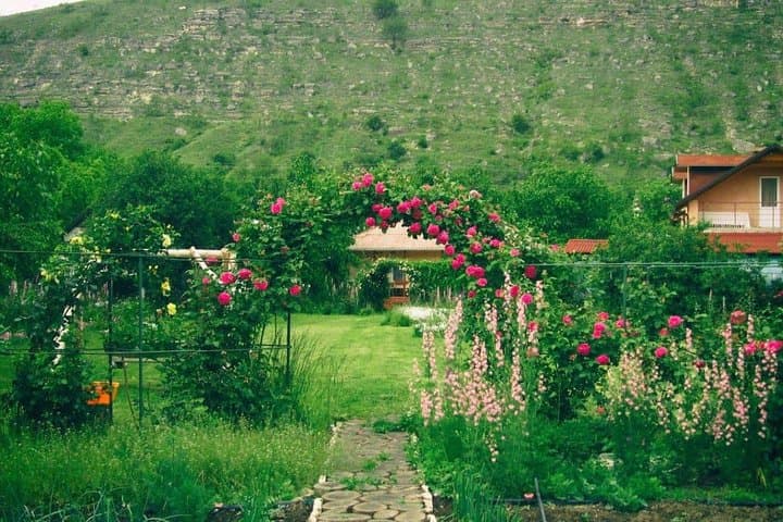 Old Orhei Day Trip: Cave Churches, Răut River Views & Placinte Master Class photo 2