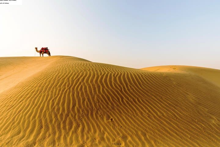 Full-Day Jaisalmer Sightseeing: Fort, Havelis & Thar Desert Camel Ride photo 2