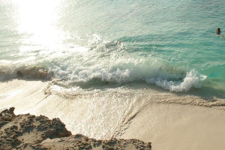 Bonaire Beach Transfers: Round-Trip Rides to Sorobon, Te Amo & 1000 Steps photo 4