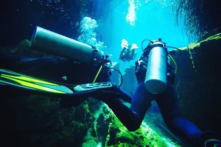 Introductory Scuba at Casa Cenote: Beginner Dives in Tulum’s Mangrove Cenote