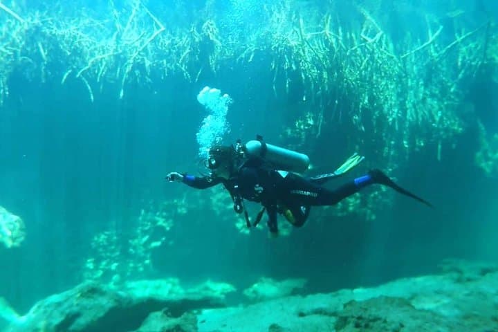 Introductory Scuba at Casa Cenote: Beginner Dives in Tulum’s Mangrove Cenote photo 5