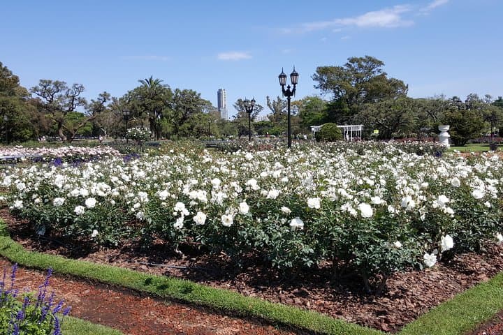 Buenos Aires Full Day Private City Tour: Cultural Highlights & Insider Stops photo 2