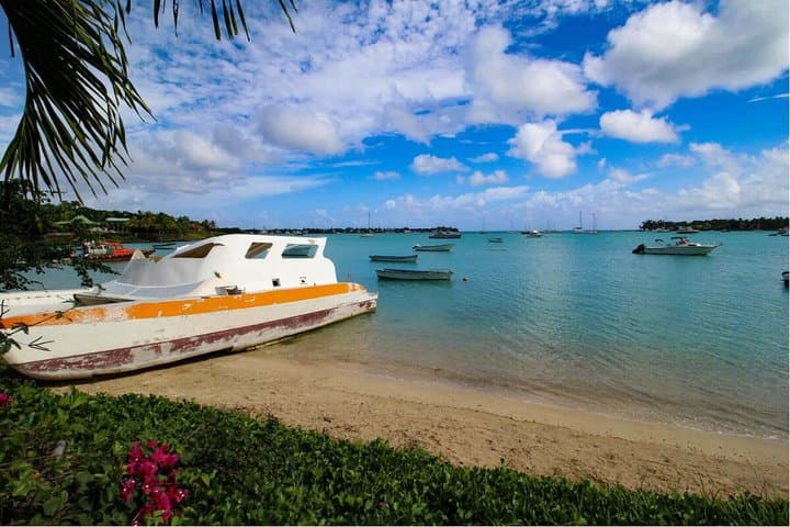 North Mauritius Full-Day Private Tour: Pamplemousses, L'Aventure du Sucre & Cap Malheureux photo 3