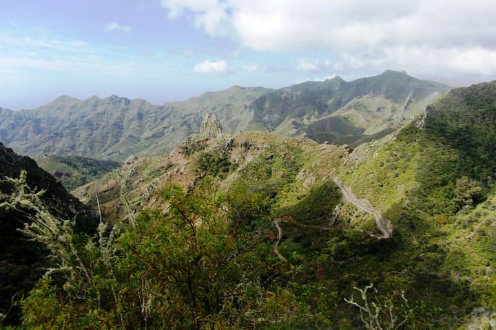 Hiking Amazing Anaga — Laurisilva Trails & Coastal Ridges in Tenerife photo 3