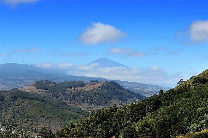 Hiking Amazing Anaga — Laurisilva Trails & Coastal Ridges in Tenerife photo 4
