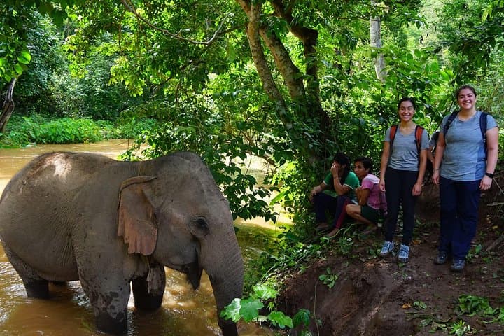Kindred Spirit Elephant Sanctuary: 2-Day Ethical Homestay near Chiang Mai photo 3