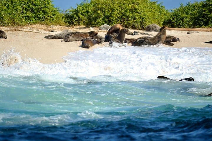 Galapagos Island Hopping: 5-Day Santa Cruz & San Cristobal Wildlife Tour photo 4