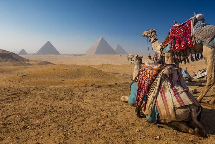 One-Day Cairo: Fly from Sharm El Sheikh to the Pyramids & Egyptian Museum photo 3