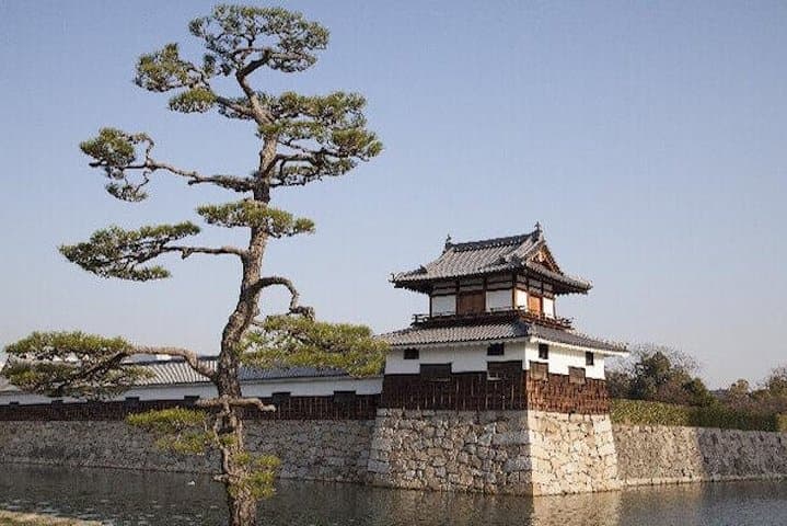 Private Hiroshima Walking Tour: Miyajima & Peace Park Full-Day Guide photo 4