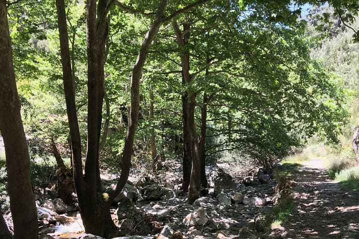 Fygou & Agia Irini Gorge Loop: Half-Day Hike from Omalos photo 6