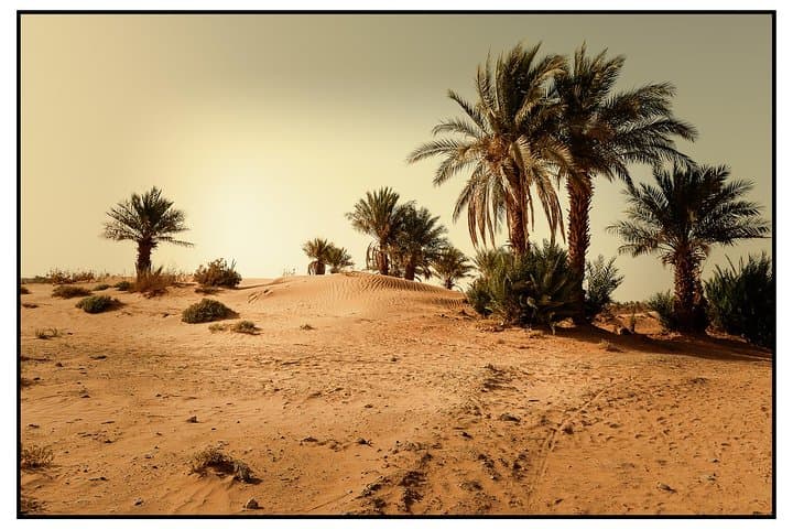 2-Day Sahara Experience: Marrakech to Zagora Camel Trek & Nomad Camp