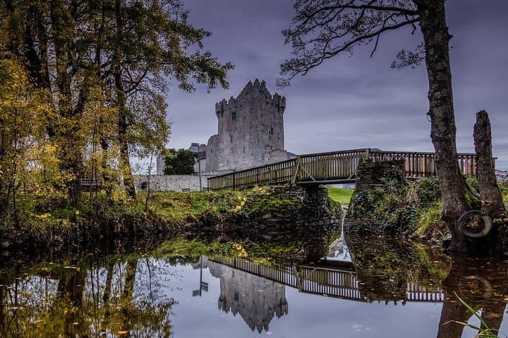 Innisfallen Island Boat Tour: History and Scenery of Killarney National Park photo 2