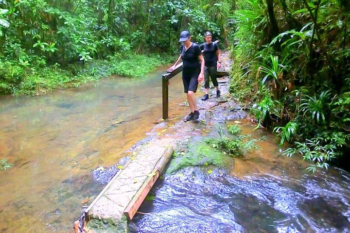 Customized Suva Day Tour: Market, Museum & Waterfall Highlights photo 5