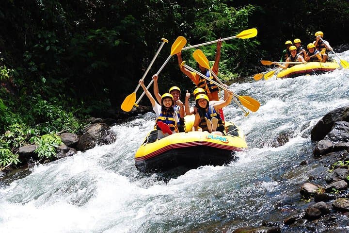 Telaga Waja River Rafting Bali — Rapids, Rice Fields & Besakih Views photo 4