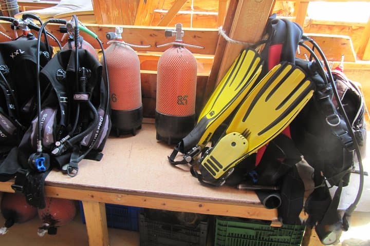 Bodrum Scuba Diving: Aegean Reef Dives & Clear-Water Excursions photo 6